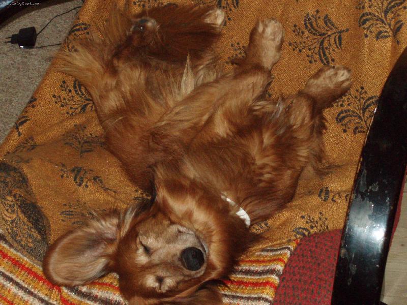 Foto: Pohodička.....-zdá se mi krásný sen...