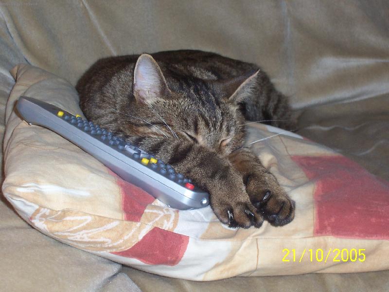 Foto: Matýskův relax