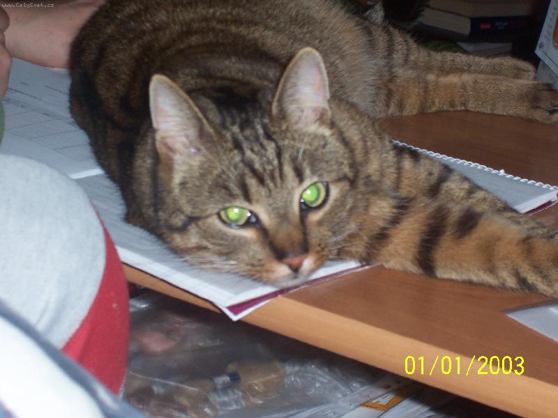 Foto: Mat�sk�v relax 2