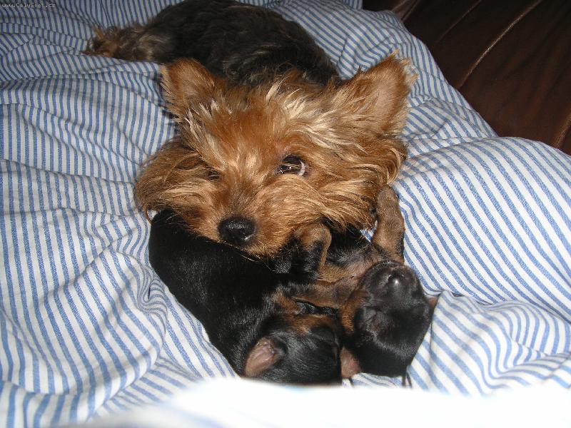 Foto: PEGGYNKA+ŠTĚNÁTKA-UŽ JE KONEČNĚ MATKOU !!!!!