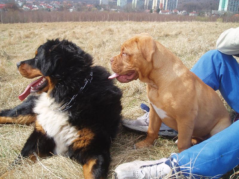 Foto: dobrý pocit-Maxmilián a Samira