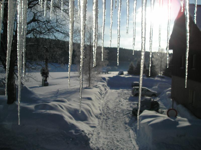 Foto: letošní jaro na Šumavě