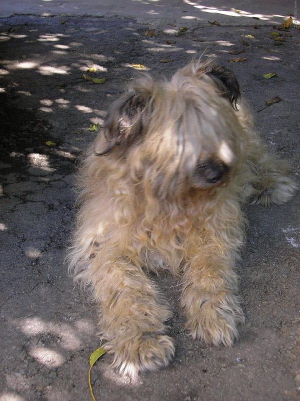 Foto: Pohodička, klídek a leháro, tak to chi nejmíň na stálo! :-)