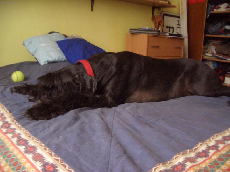 Foto: TARA-neni nad to se pořádně natáhnout...