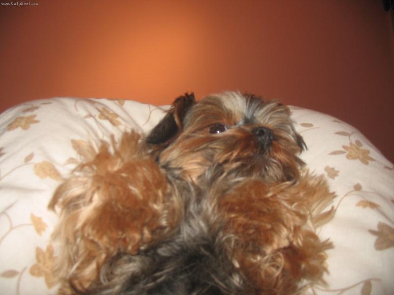 Foto: Filípek-Pohodová