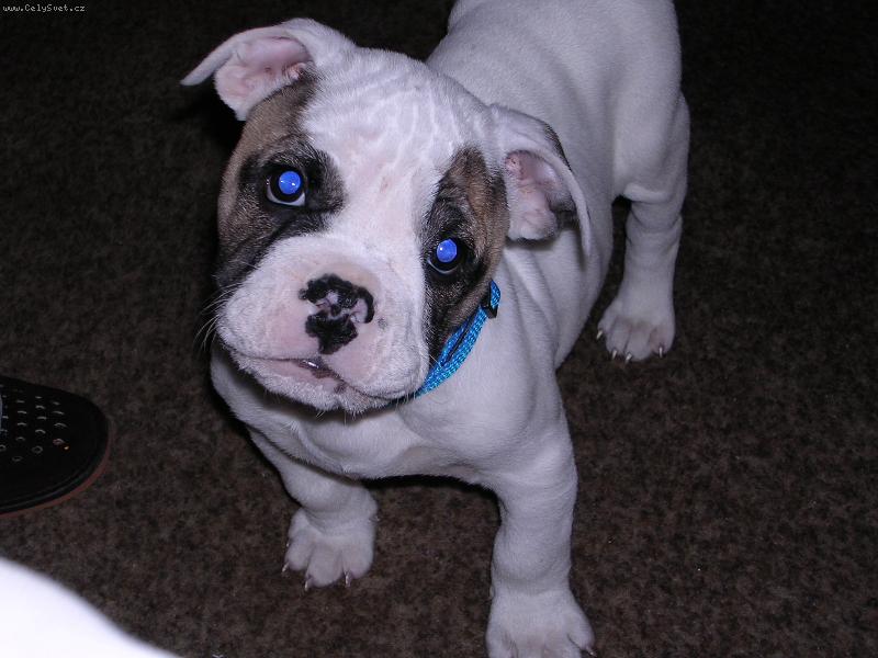 Foto: tak mě tady máte