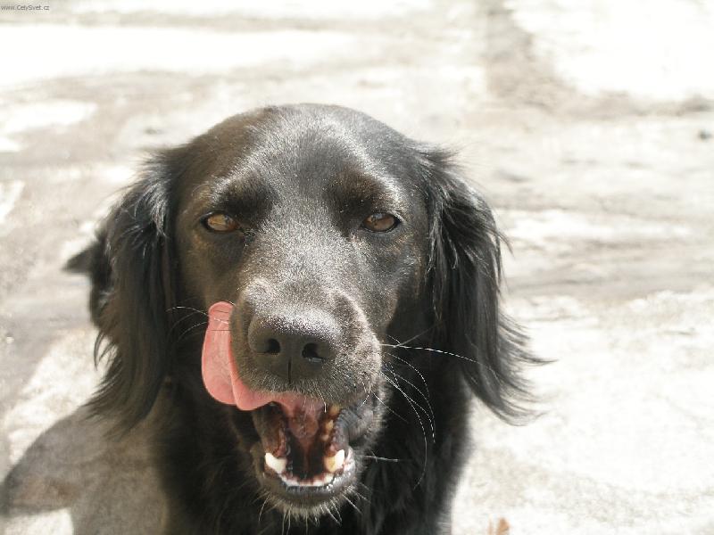 Foto: to byla mňamka