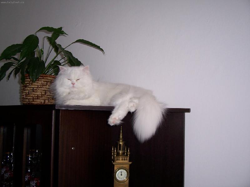 Foto: Odpočívání