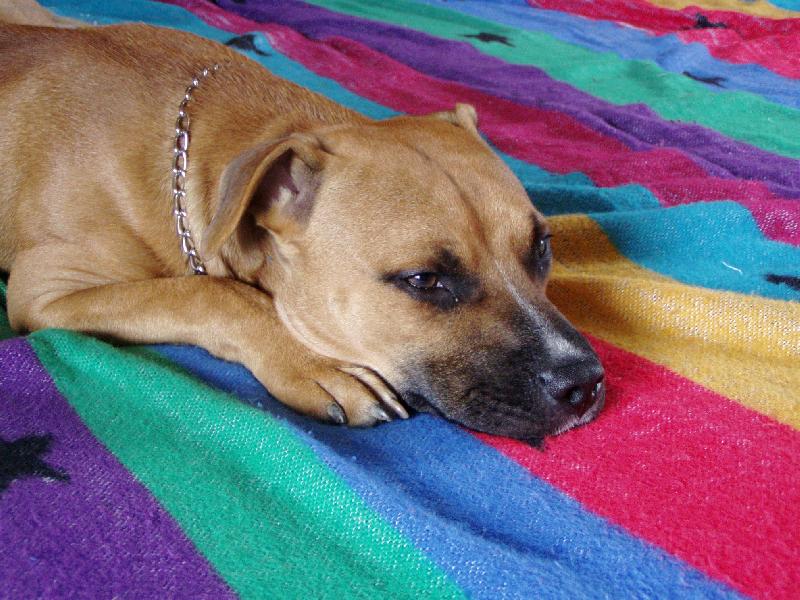 Foto: Domácí pohoda