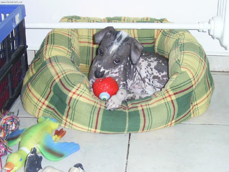 Foto: No není k sežrání