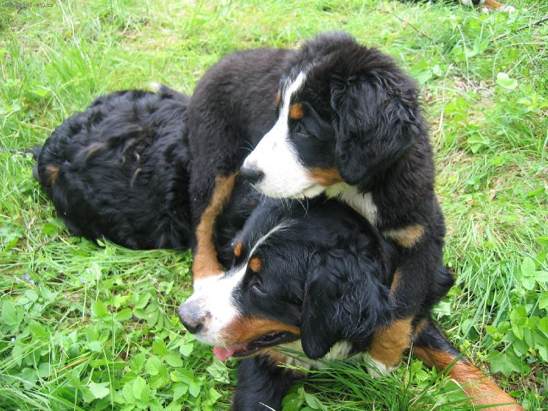 Foto: Hele, koukej...