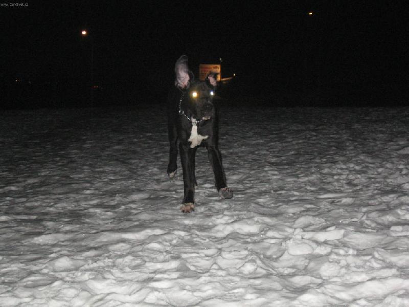 Foto: LÉTAJÍCÍ ČESTMÍR-POZOOOR ASI ULETÍM