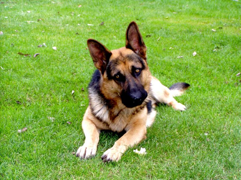 Foto: Smutně koukám.