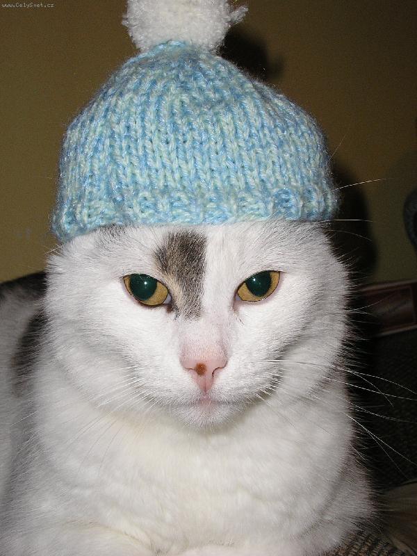 Foto: Zima už mě nepřekvapí