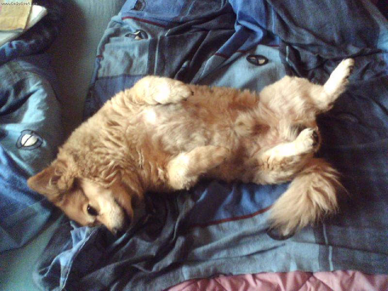 Foto: Beňulík-Odpolední pauzička