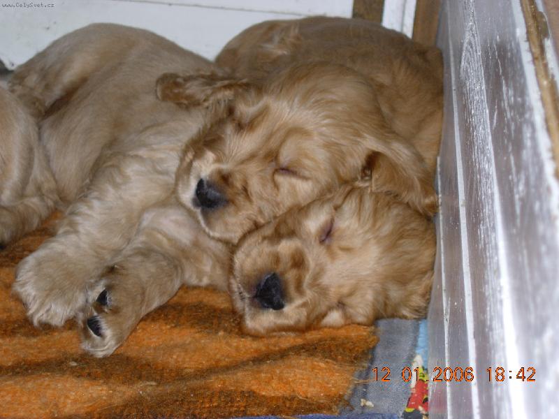 Foto: Leží se ti dobře???