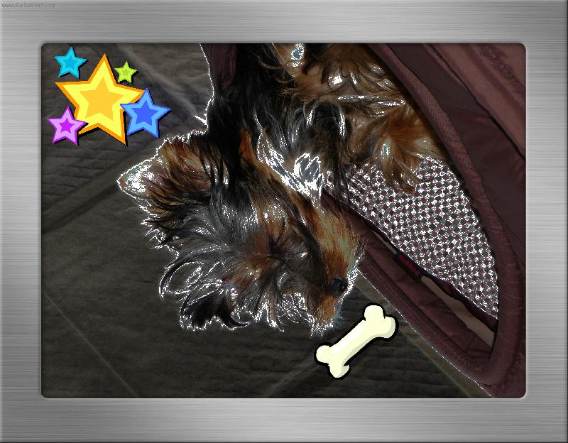 Foto: Říše snů :)