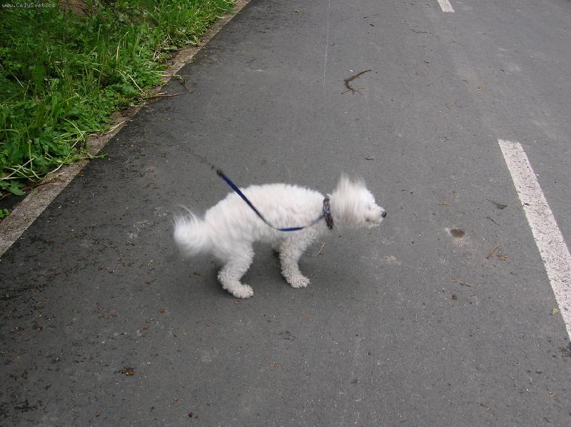 Foto: fuj...........musím se otřepat...........