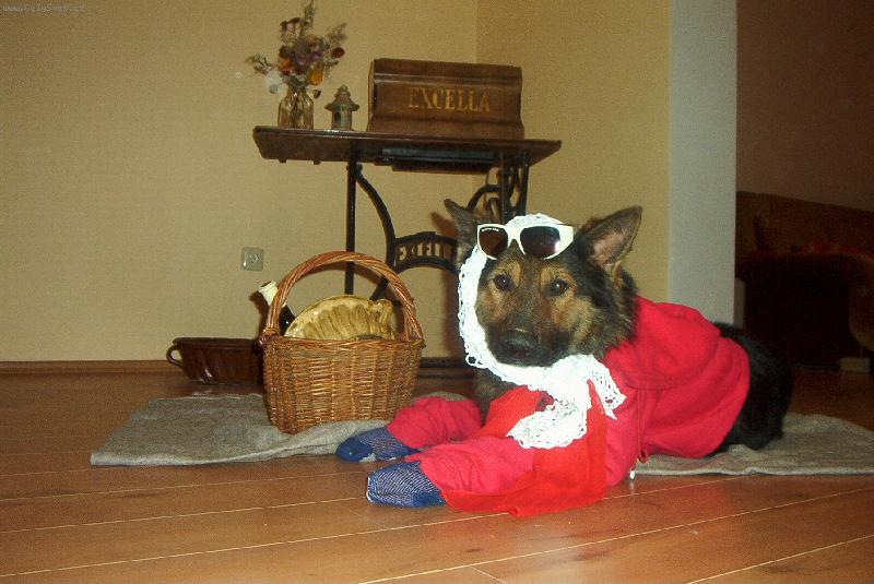 Foto: Červená Karkulka