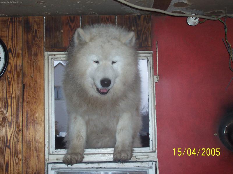 Foto: krmení-tak dostanu to ham do bříška