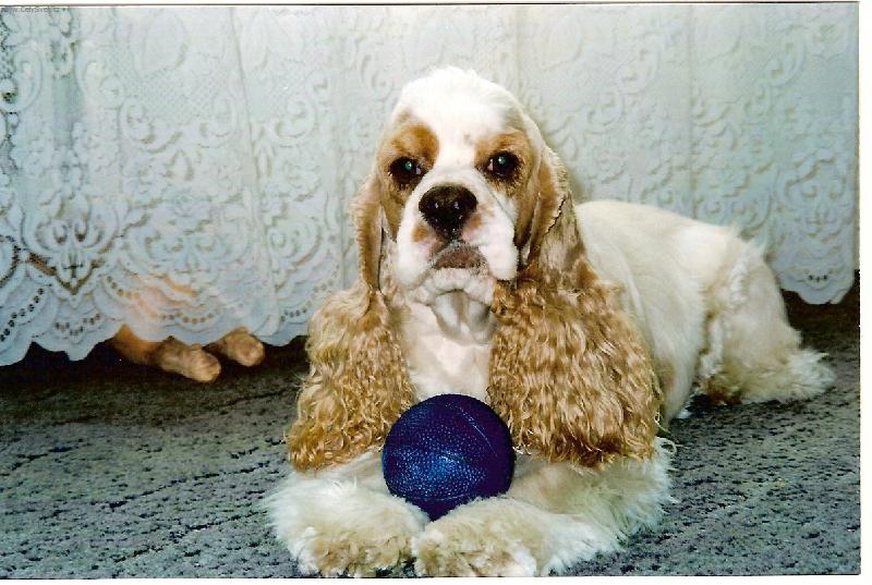 Foto: Vím.že mi to sekne......-Sam