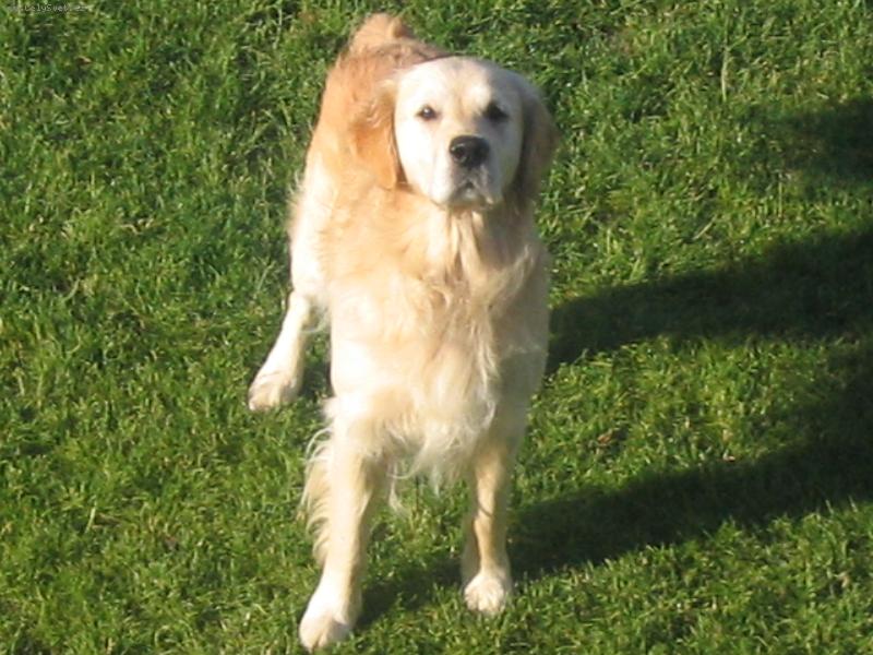 Foto: kuk-aaa do POZORU