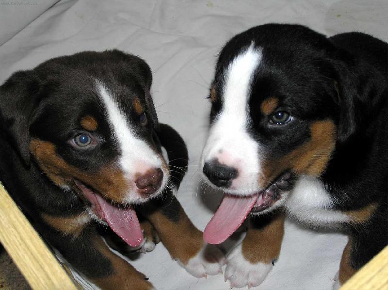 Foto: Jé ho mám delší