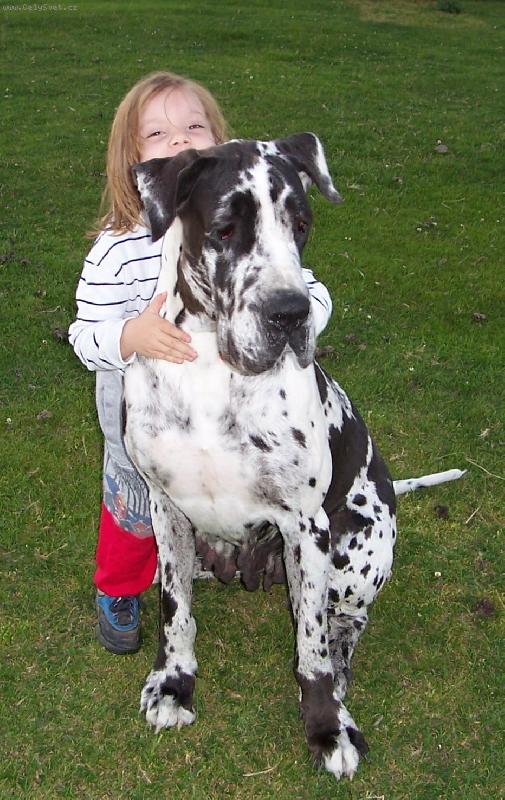 Foto: A teď si pro mě pojďte