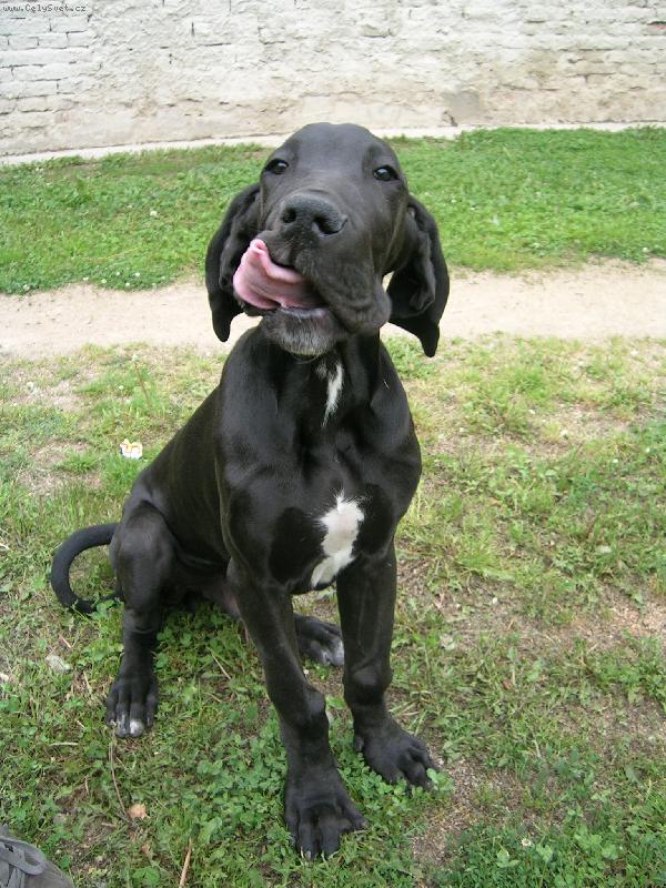 Foto: Bylo to dobrý...-...ale bylo toho málo