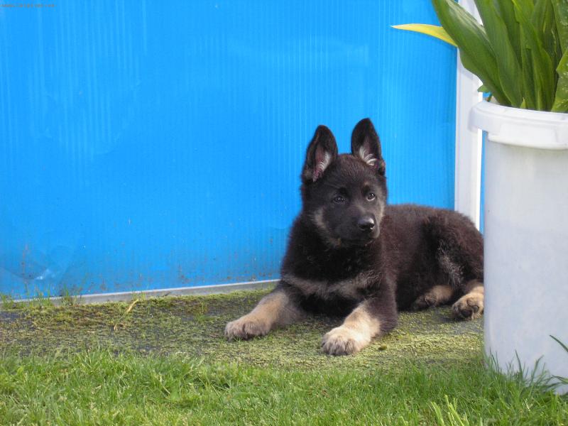 Foto: Nero-8 týdnů