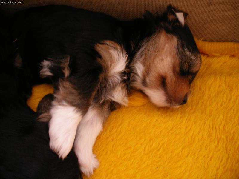 Foto: Tak to je Riki...-Co řikáte není to fešák?