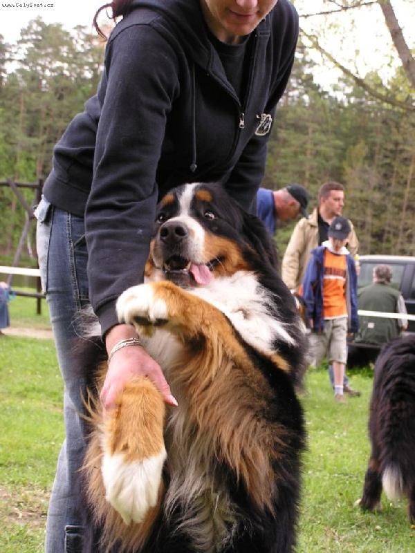 Foto: Ciro-Mazlíček