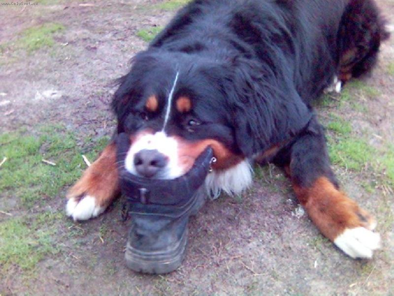 Foto: Conie-Hraní s nejoblíbenější botou