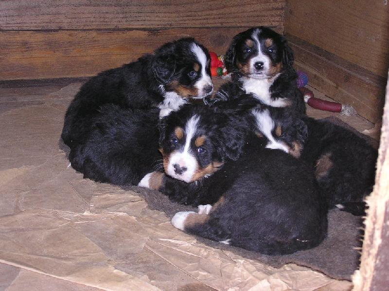 Foto: Malí mimča-Ukladání ke spánku