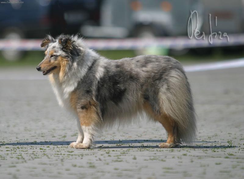 Foto: Vandaska-... to je nuda, zase vystava