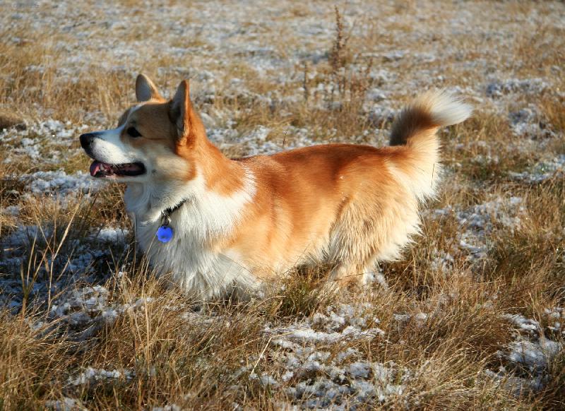 Foto: Darney-Darney Vranovský žleb