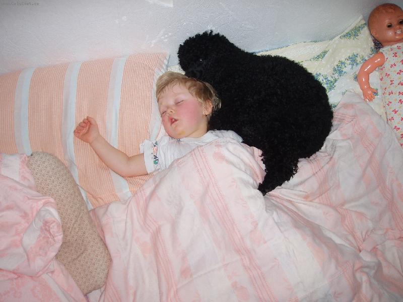 Foto: veget-To mám nejraději spánek s Nelinkou