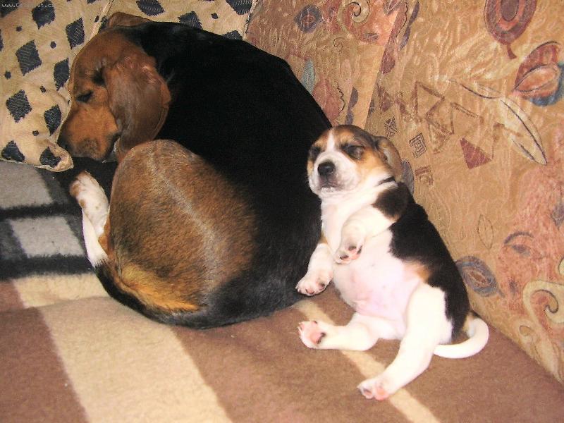 Foto: TO SME SE NADLÁBLI-BÍGLÍCI