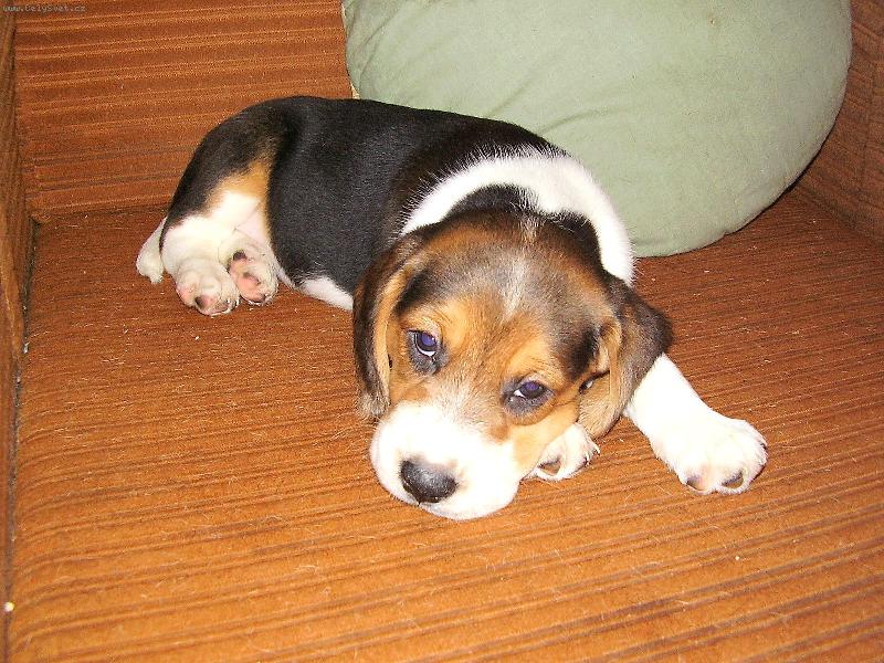 Foto: TO JE NUDA-BÍGLÍK