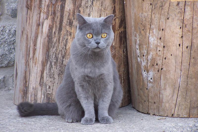 Foto: odpolední siesta