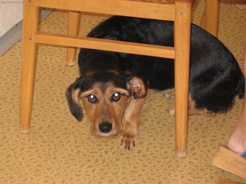 Foto: Vystrašená Tery