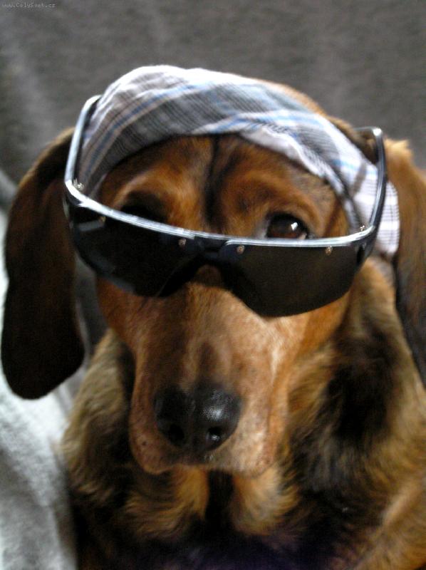 Foto: Nemáš opalovací krém?