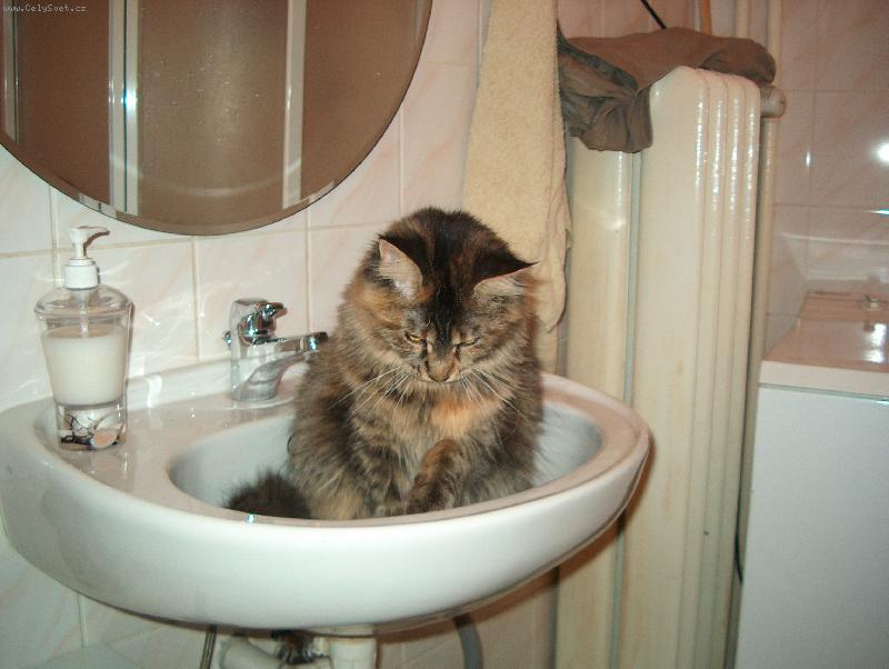 Foto: Kam se poděla voda?