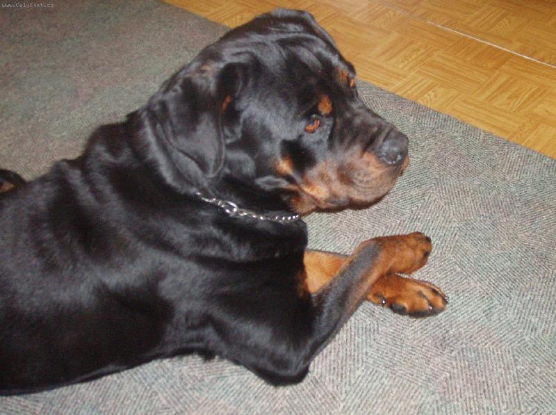 Foto: Hodím nožku přes nožku....