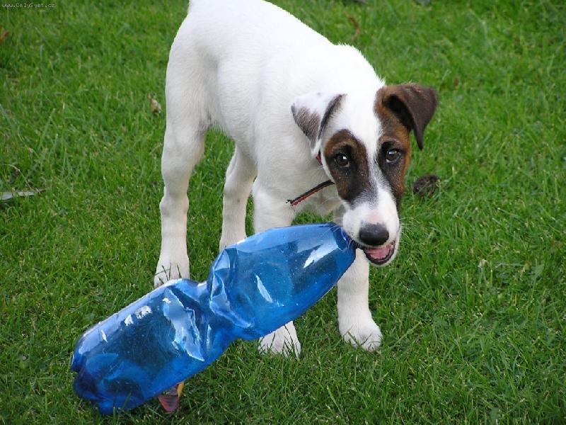 Foto: Petky jsou nejlepší!-Roníček 6.měs.