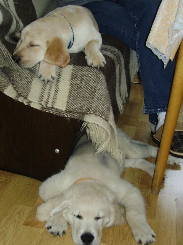 Foto: konecne nas nechali spat...