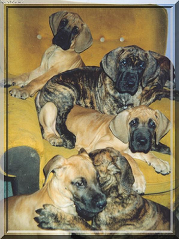 Foto: von Graslic-malé křeslo !!!