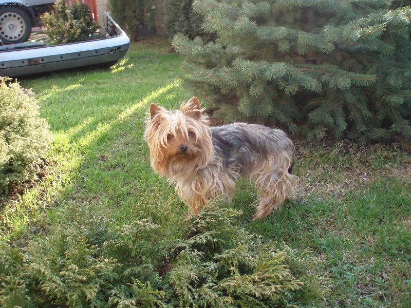 Foto: Samanta-na zahradě