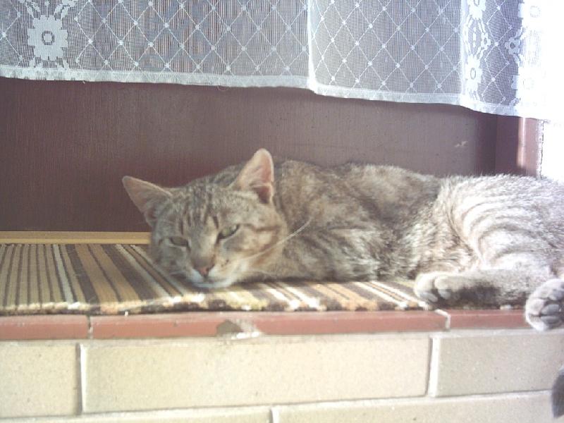 Foto: VáClav-Lehárna