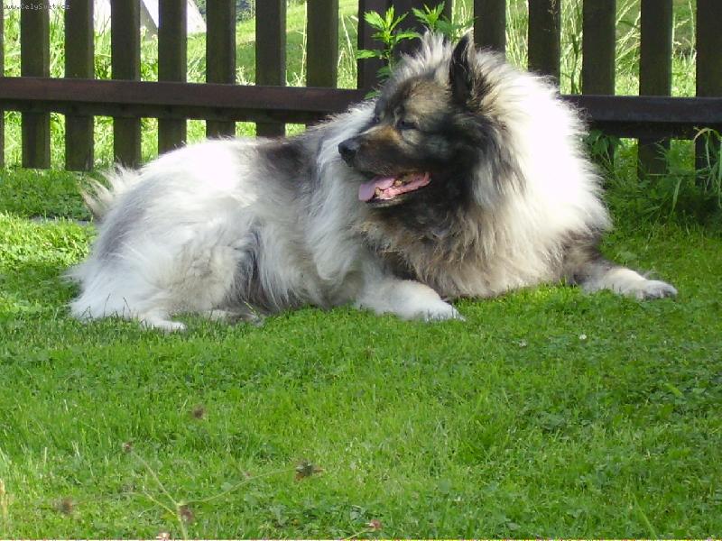 Foto: BARYK-hlída u vrat na chalupě